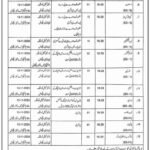 Mines and Minerals Department Punjab Jobs