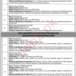 Pakistan Institute Of Fashion & Design Lahore PIFD Jobs 2024