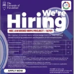 The University Of Faisalabad Jobs Alert 2024